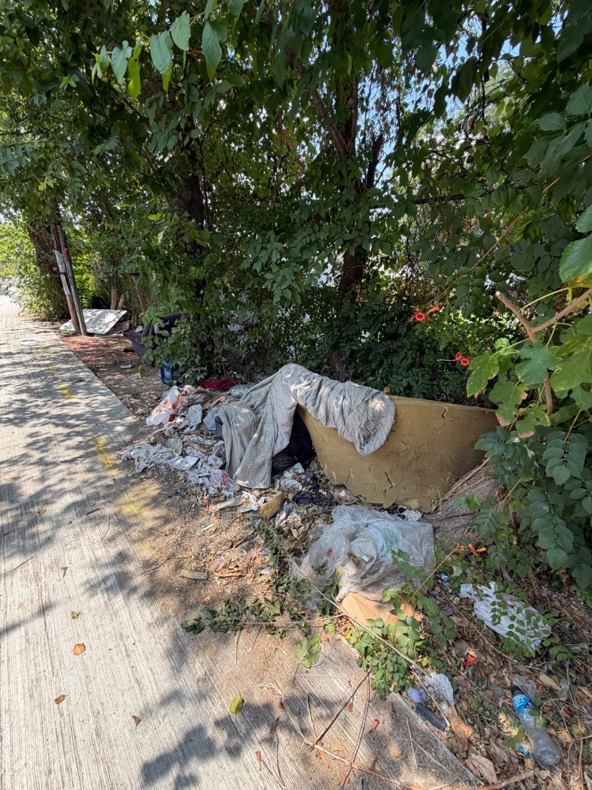 Discarded furniture and encampment debris beneath trees along a Dallas sidewalk before cleanup