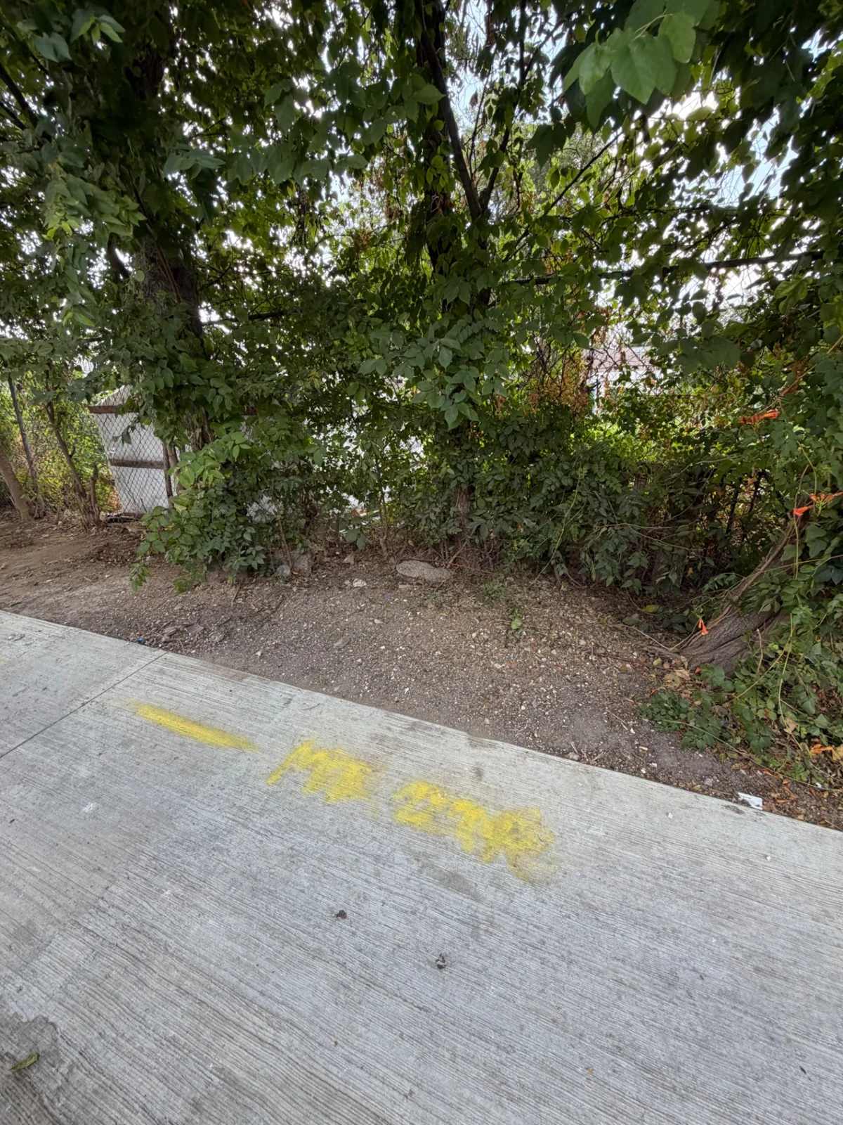 Cleared Dallas sidewalk edge and property after encampment debris removal