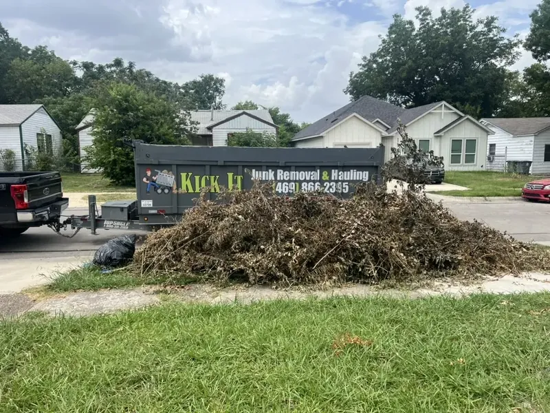 Yard & Outdoor Debris Removal