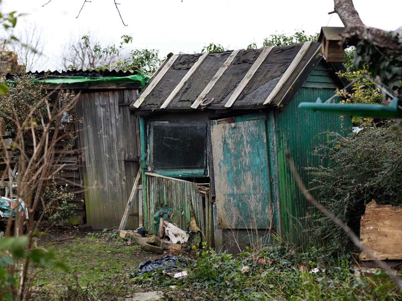 Deteriorating wood shed overgrown with brush before Kick It demolition