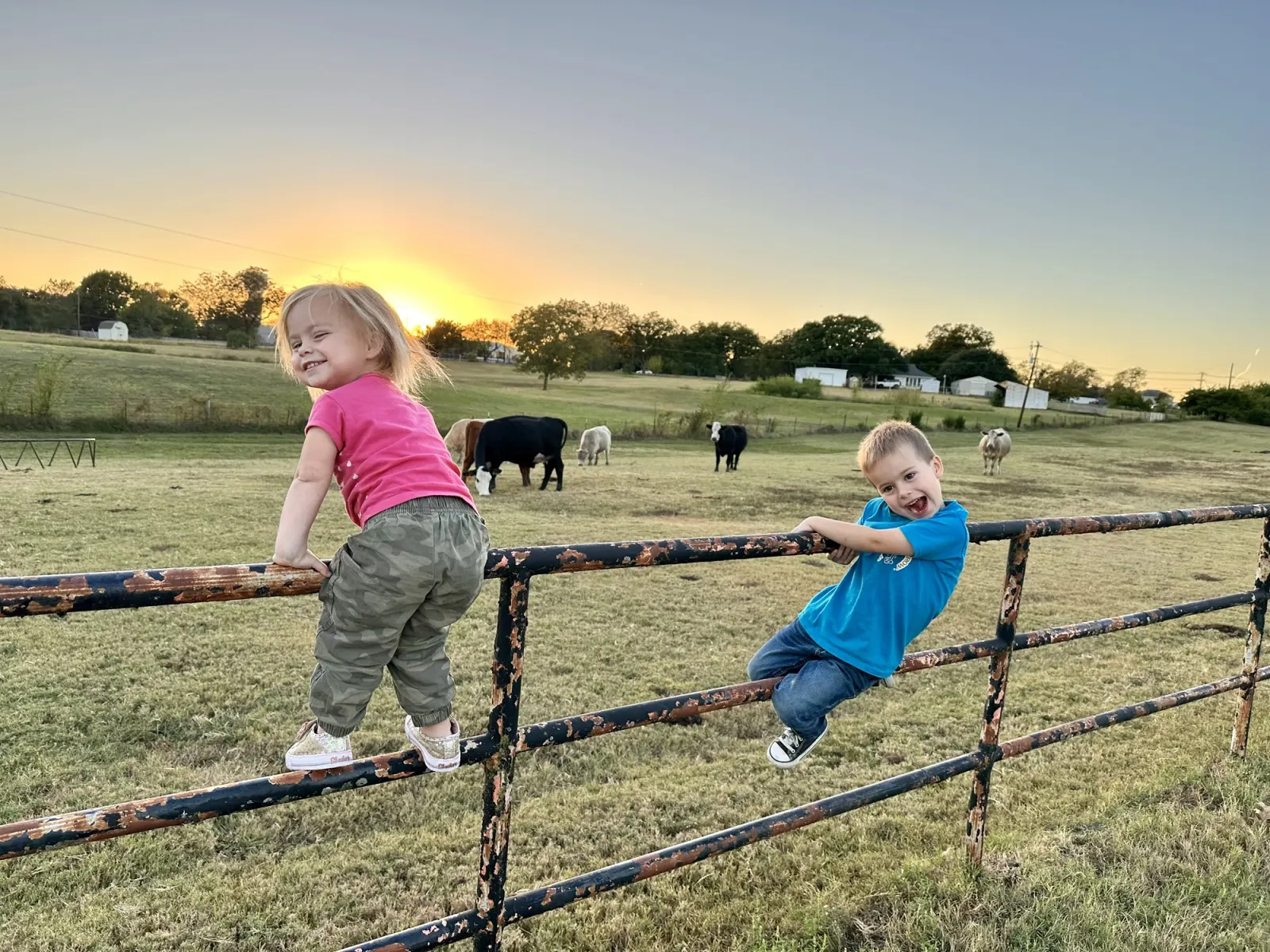 Kick It kids climbing a pasture fence at sunset