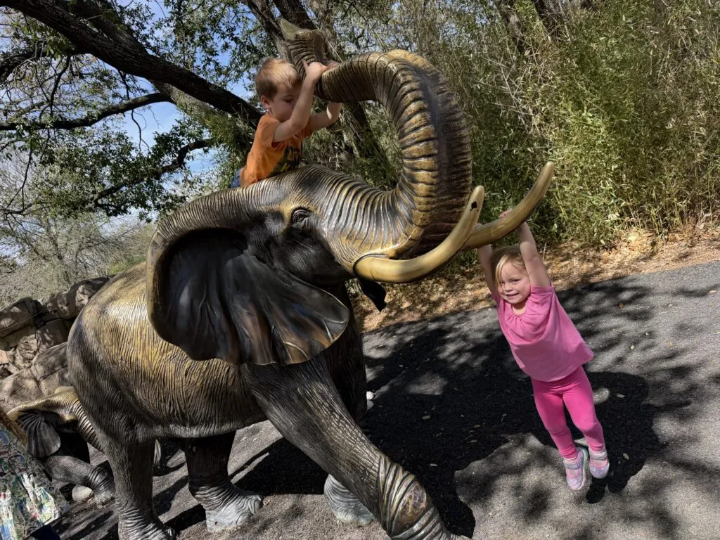 Watching the animals together on our family day at the Dallas Zoo